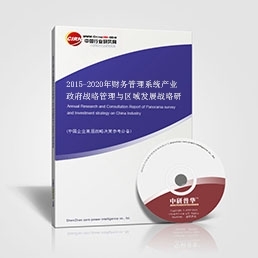 2015-2020年财务管理系统产业政府战略管理与区域发展战略研究咨询报告